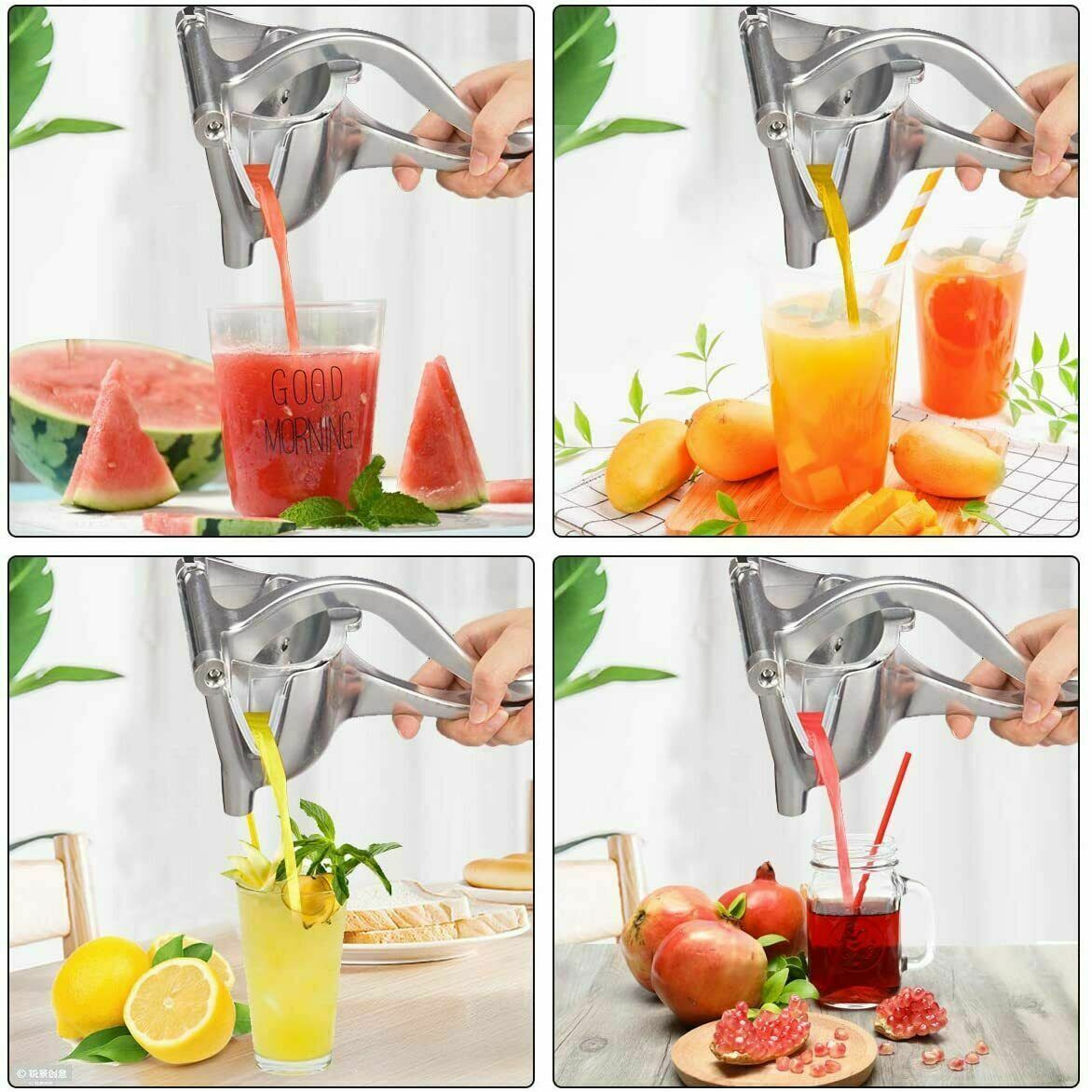 Stainless Steel Manual Juicer